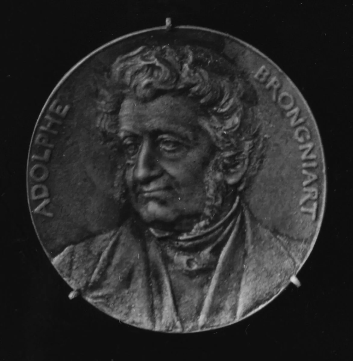 Portrait of Adolphe Brongniart, of the Academy of Sciences, 1880 — Louis-Oscar Roty