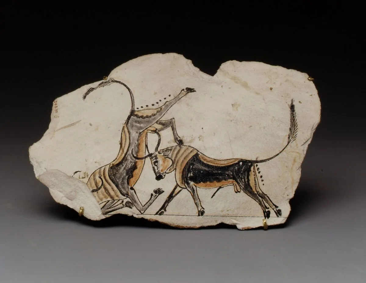Ostracon with fighting bulls — Unknown