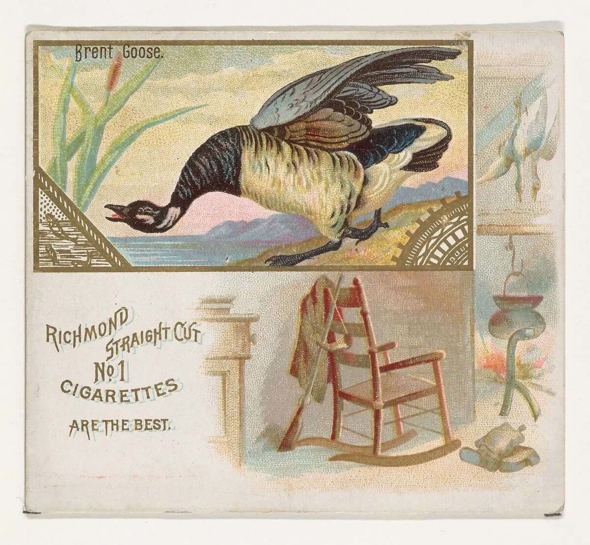 Brent Goose, from the Game Birds series (N40) for Allen & Ginter Cigarettes — Allen & Ginter
