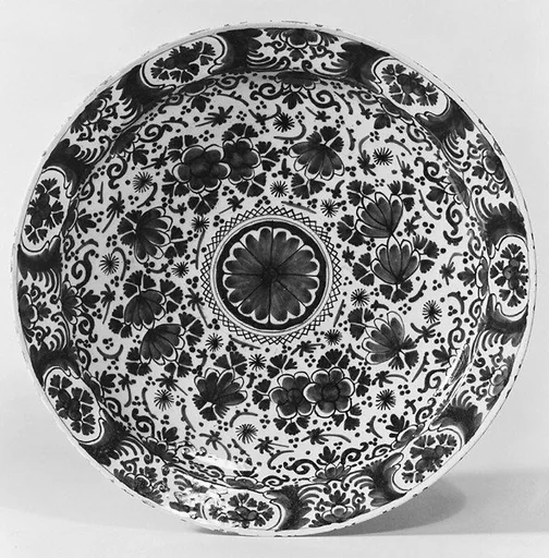 Dish