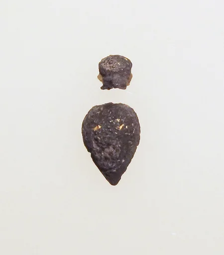 Pendant, spear point
