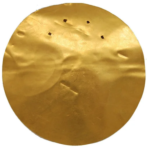 Pectoral Disk