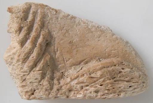 Relief Fragment