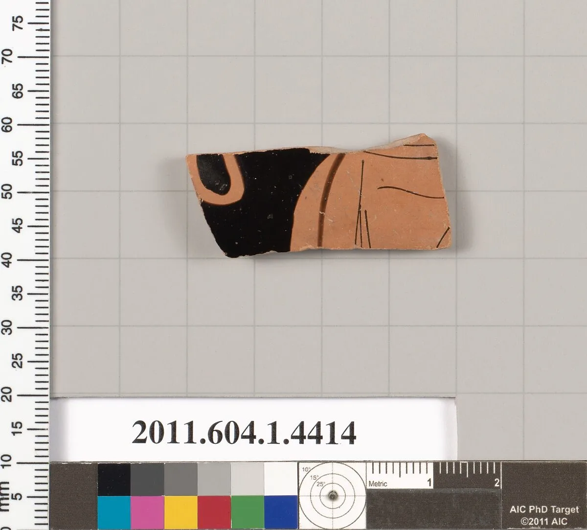 Terracotta fragment of a kylix (drinking cup) — Unknown