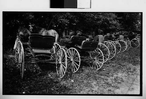 [Row of Horse-Drawn Carriages, Quebec, Canada]