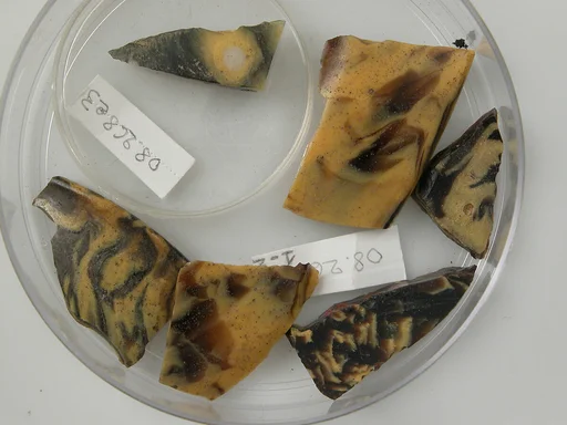 Glass Fragments