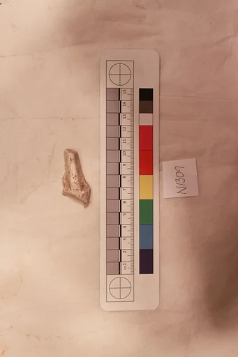Stucco Fragment