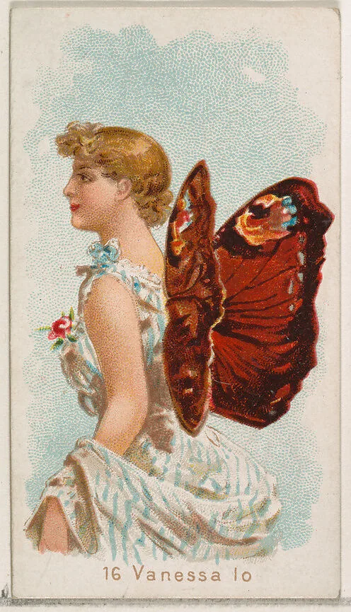 Card 16, Vanessa Io, from the Butterflies series (N183) issued by Wm. S. Kimball & Co. — William S. Kimball & Company|Julius Bien