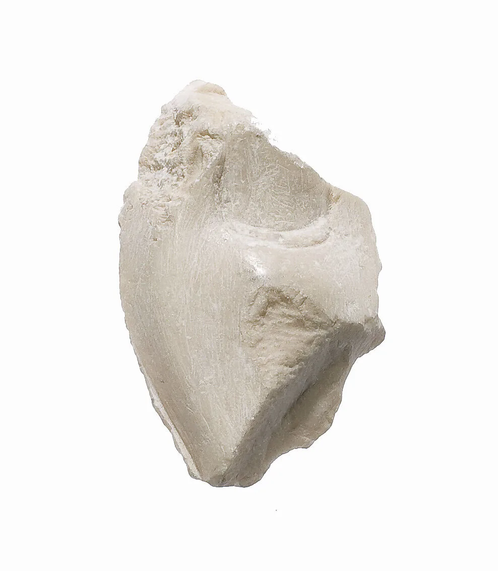 Digit fragment — Unknown