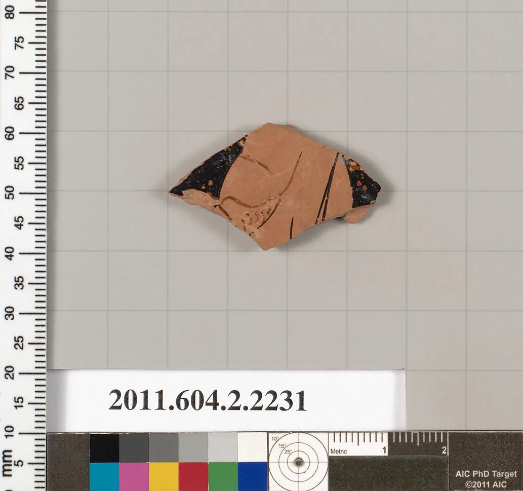 Terracotta fragment of a pot; unglazed on the inside — Unknown