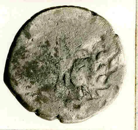 Coin