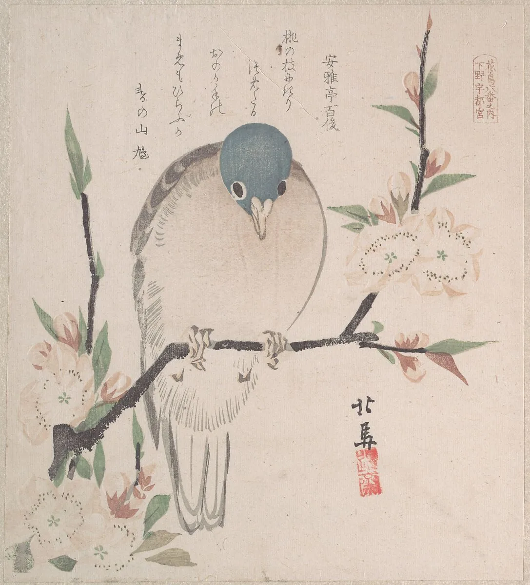 摺物帖 『春雨集』 『花鳥六番之内 下野宇都宮』 桃に山鳩|Spring Rain Collection (Harusame shū), vol. 3: Mountain Dove and Peach Flowers — Teisai Hokuba