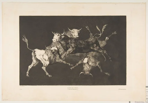 Little Bulls' Folly, from "The Disparates" (Disparates, Plate D)