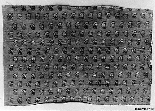 Textile Fragment
