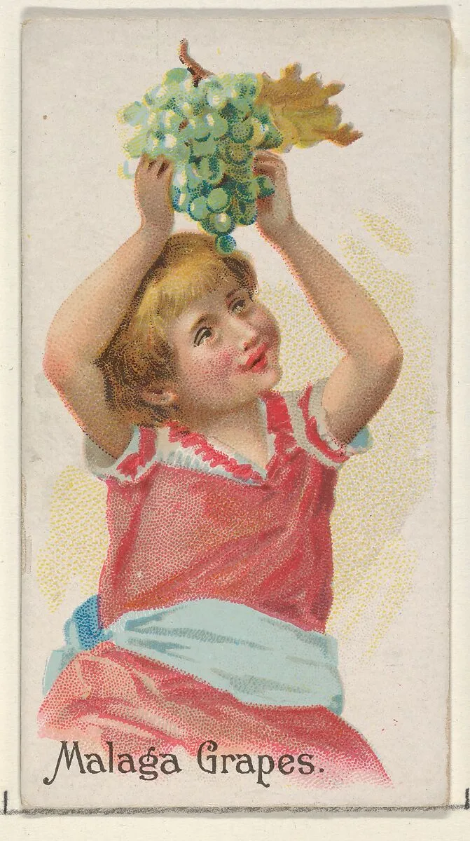 Malaga Grapes, from the Fruits series (N12) for Allen & Ginter Cigarettes Brands — Allen & Ginter|George S. Harris & Sons