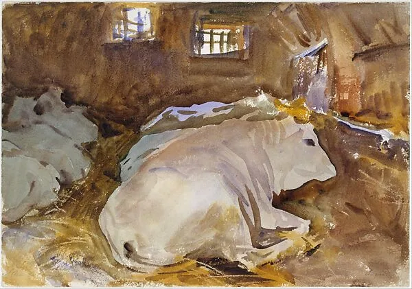 Oxen — John Singer Sargent