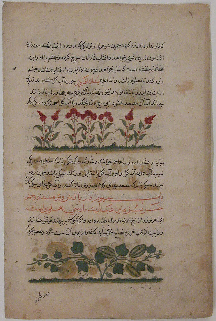 "Purple Amaranth and Watermelon", Folio from a Dispersed Nuzhatnama-i ‘Ala’i of Shahmardan ibn Abi’l Khayr — Shamardan ibn Abi 'l Khayr