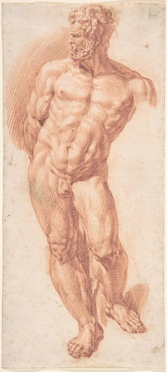 Standing Male Nude — Denijs Calvaert