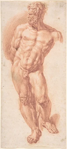 Standing Male Nude