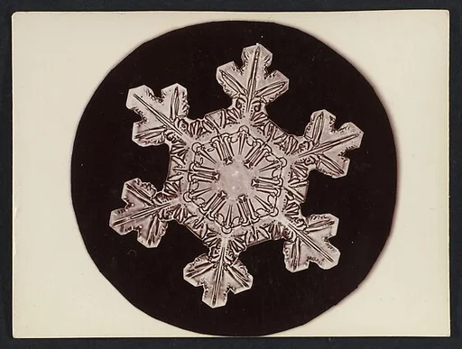 [Snow Crystal]