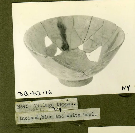 Bowl