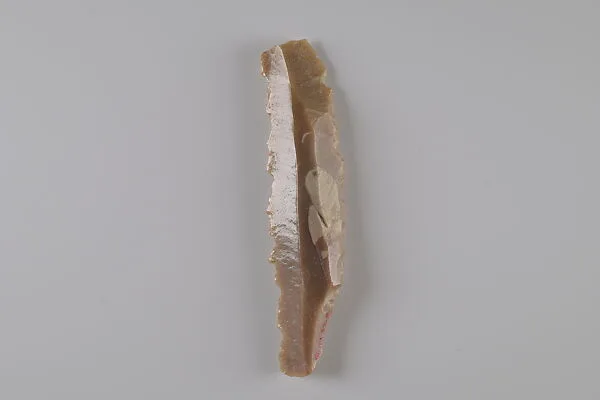 Sickle Insert — Unknown