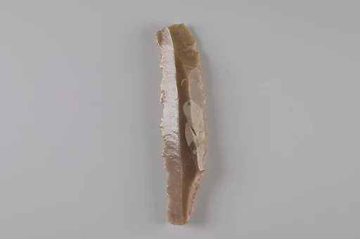 Sickle Insert