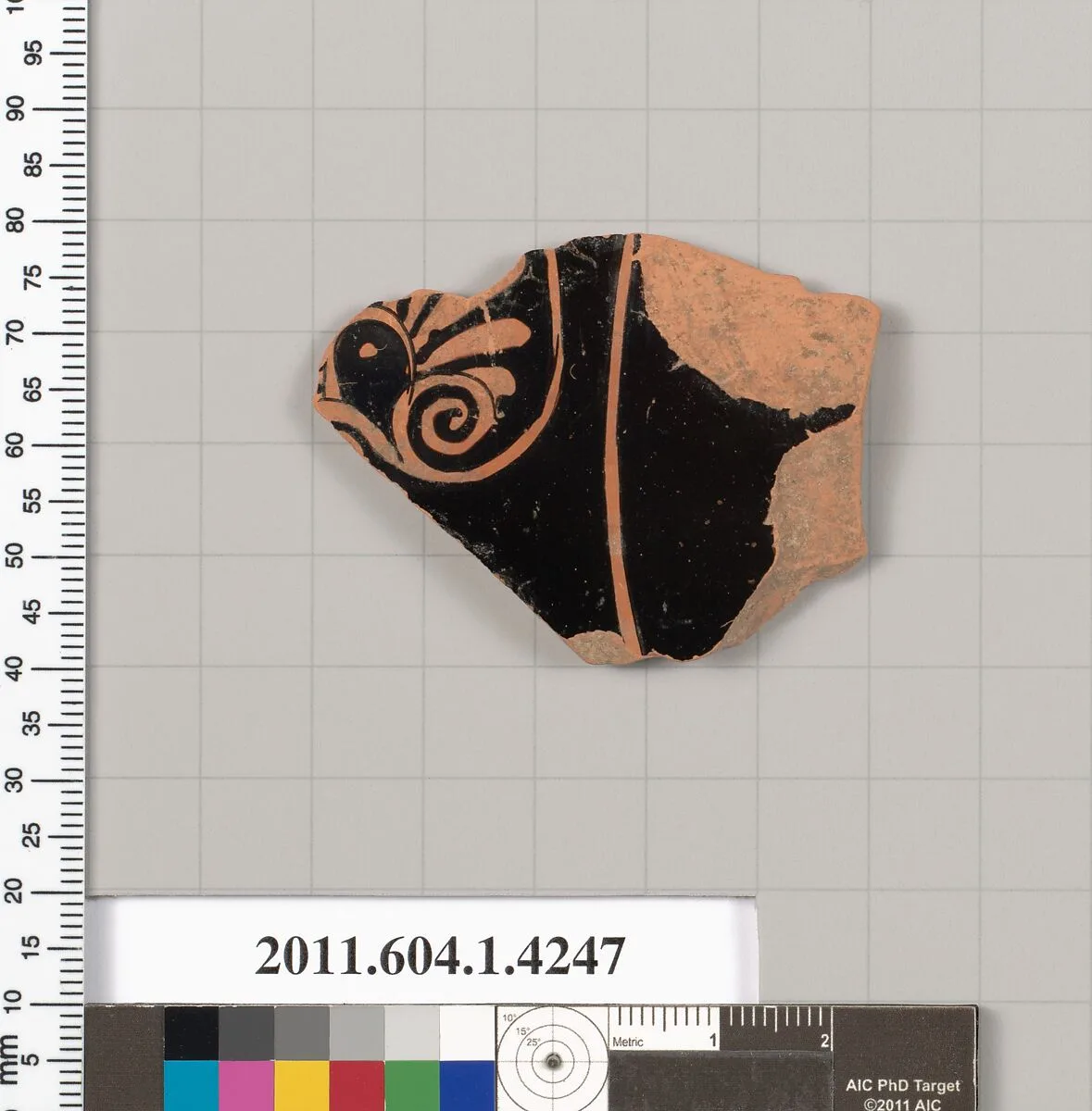 Terracotta fragment of a kylix (drinking cup) — Unknown