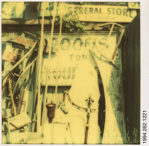 [Roadside Junkstore, South Wellington, Connecticut]
