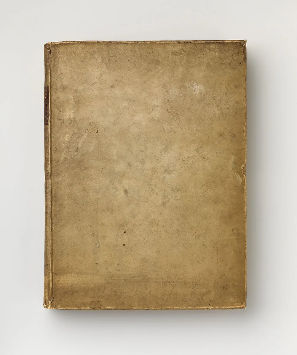 Science Books: Gemmae Antiquae Litteratae; Espozione Anatomica della Struttura del Corpo Umano del Winslow, tradotto dal Franzese (...) tome 1 and 2 — Francesco Ficoroni|Niccolò Galeotti|Venanzio Monaldini|Stamperia di Giovanni Zempel|Jacob Benignus Winslow|Stamperia di Giovanni di Simone|Tomasso Bettinelli