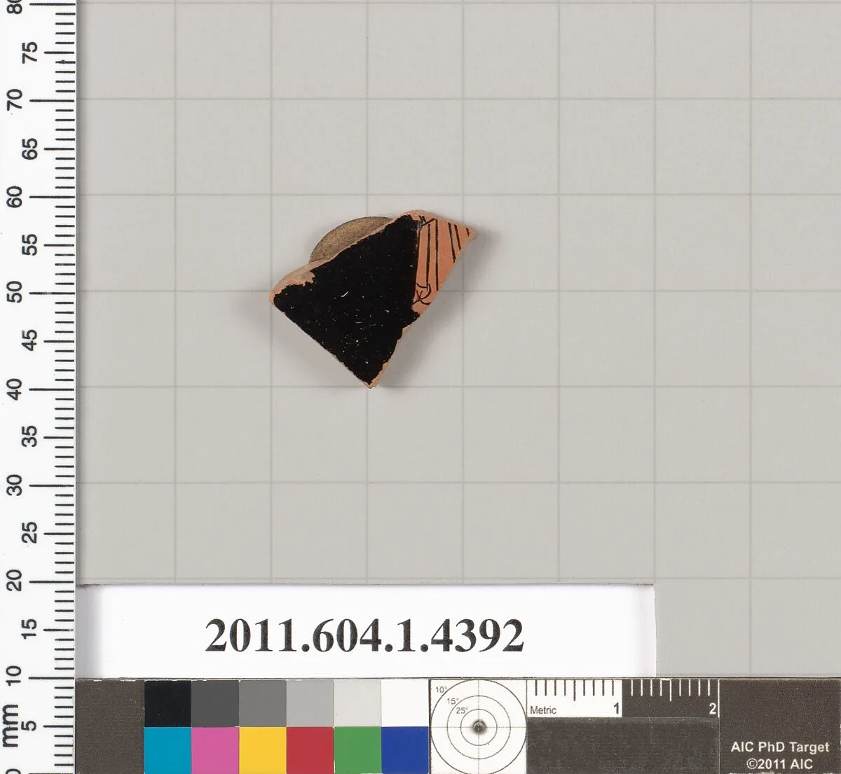 Terracotta fragment of a kylix (drinking cup) — Unknown