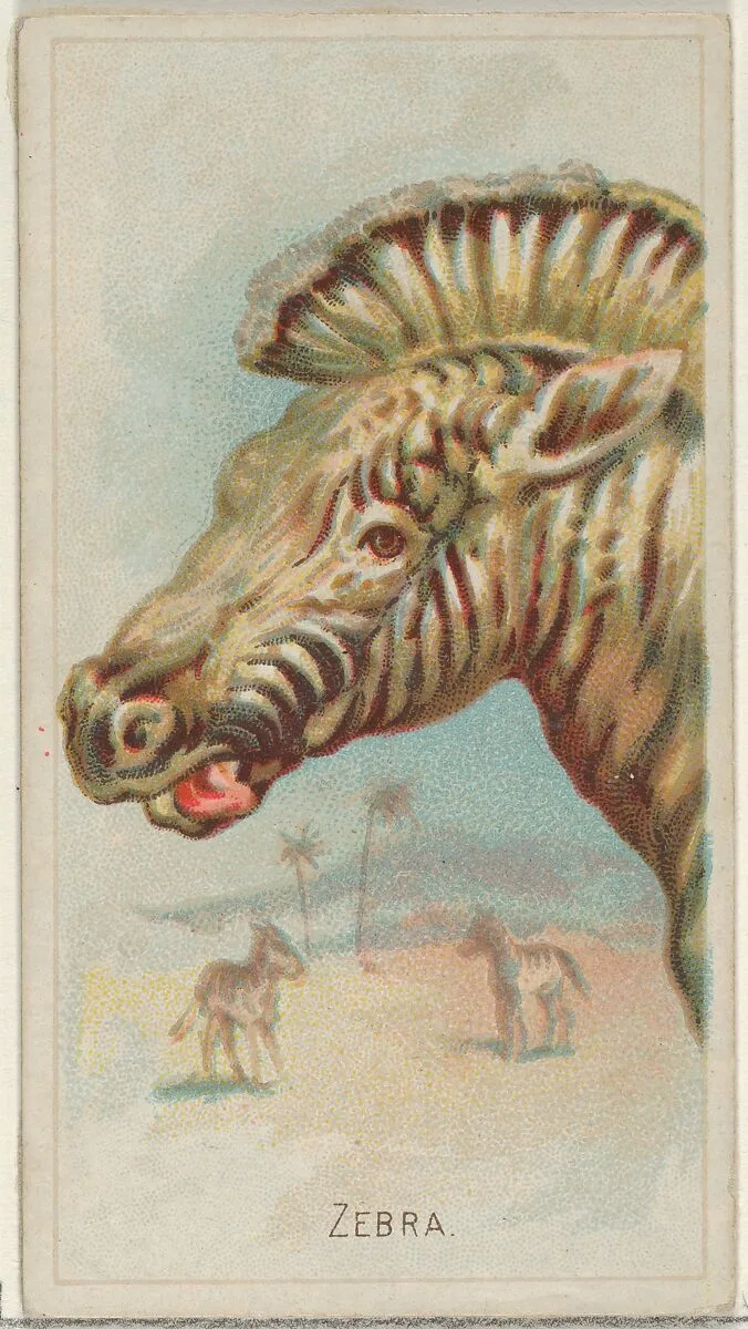 Zebra, from the Wild Animals of the World series (N25) for Allen & Ginter Cigarettes — Allen & Ginter|George S. Harris & Sons