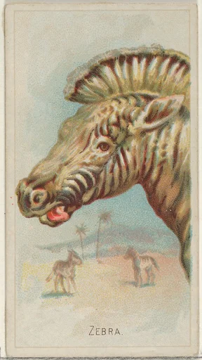 Zebra, from the Wild Animals of the World series (N25) for Allen & Ginter Cigarettes