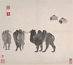近代 吳作人 駱駝 軸|Camels