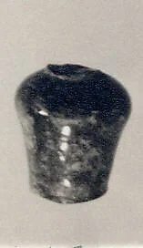 Bottle