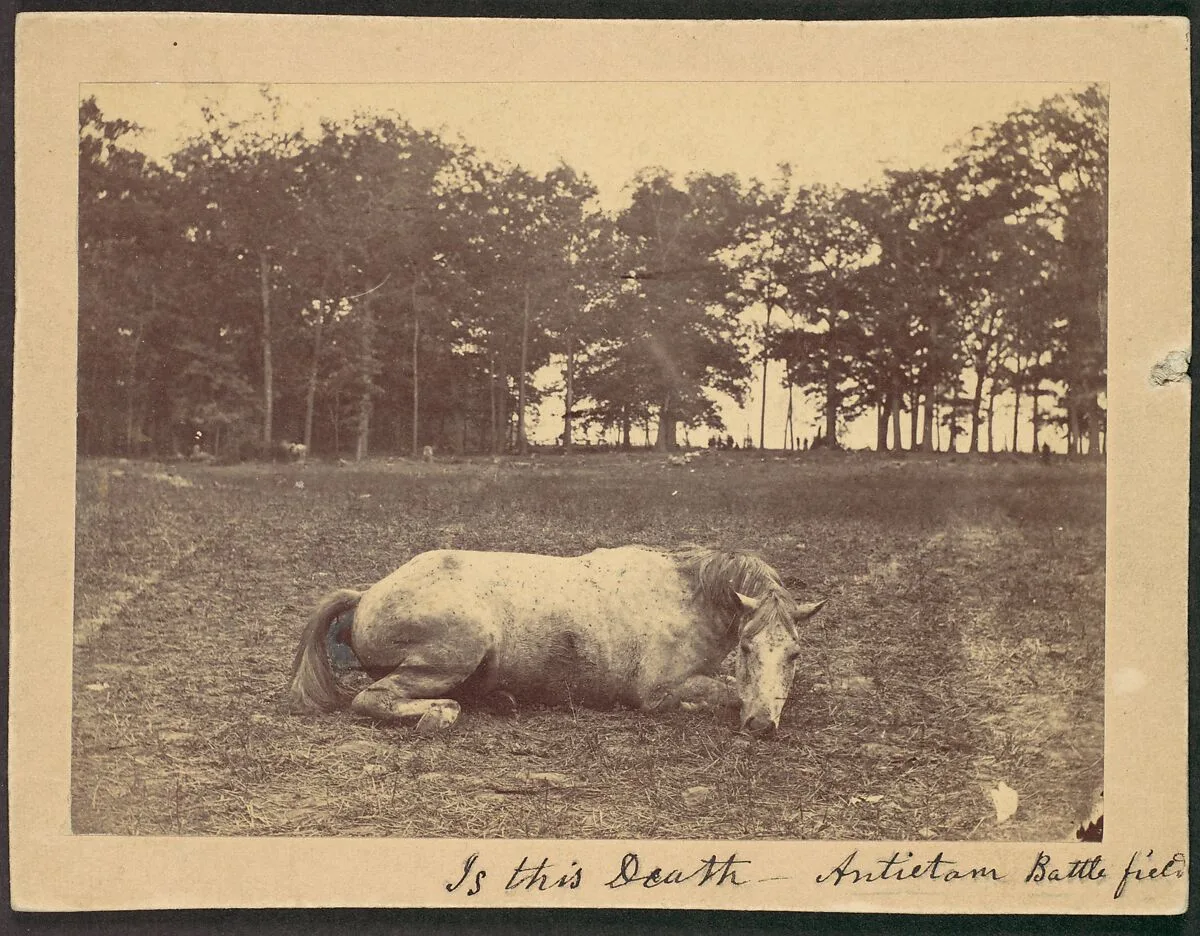 Is This Death - Antietam Battlefield, September 1862 — Alexander Gardner