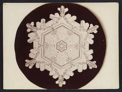 [Snow Crystal]
