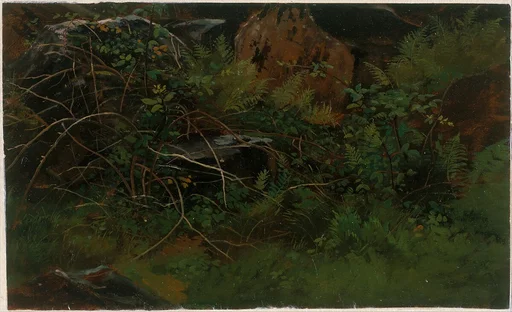 Study from Nature