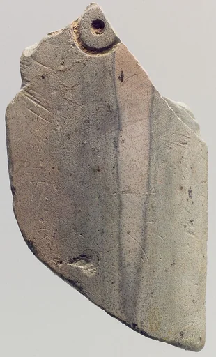 Plaque fragment