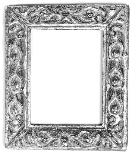 Astragal frame