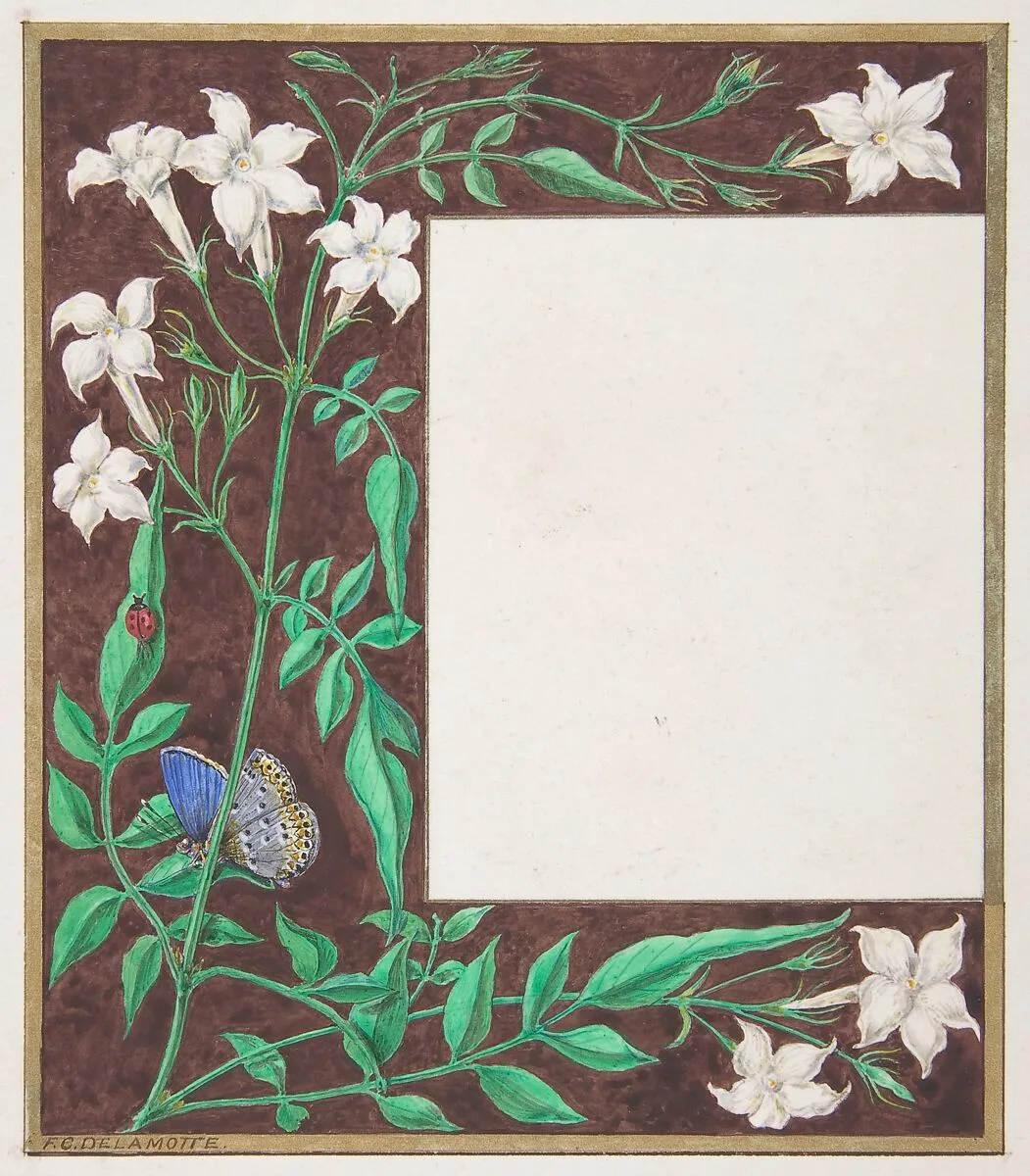 Floral Border Design — Freeman Gage Delamotte