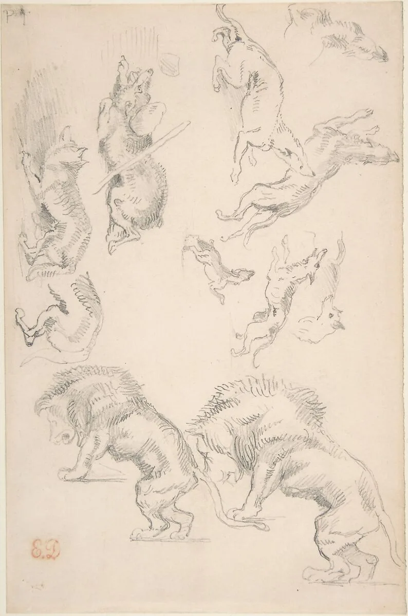 Studies of Animals — Eugène Delacroix