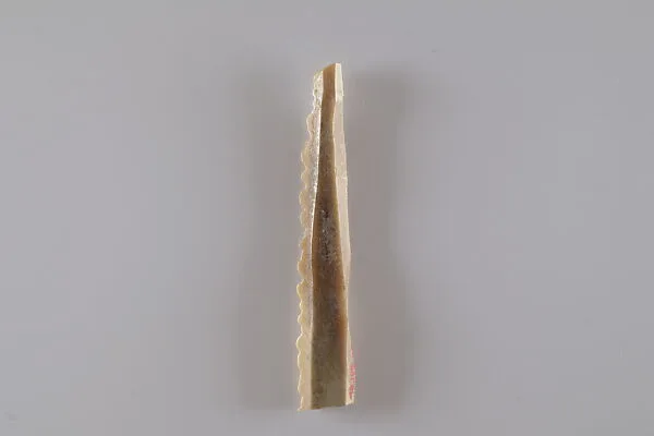 Sickle Insert — Unknown