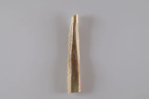 Sickle Insert