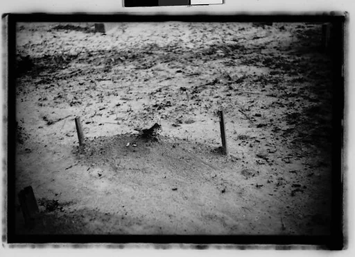 [Grave, Alabama]