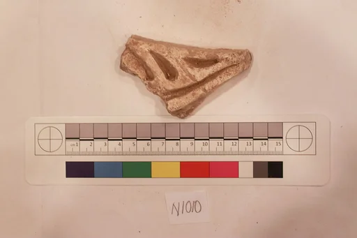Stucco Fragment