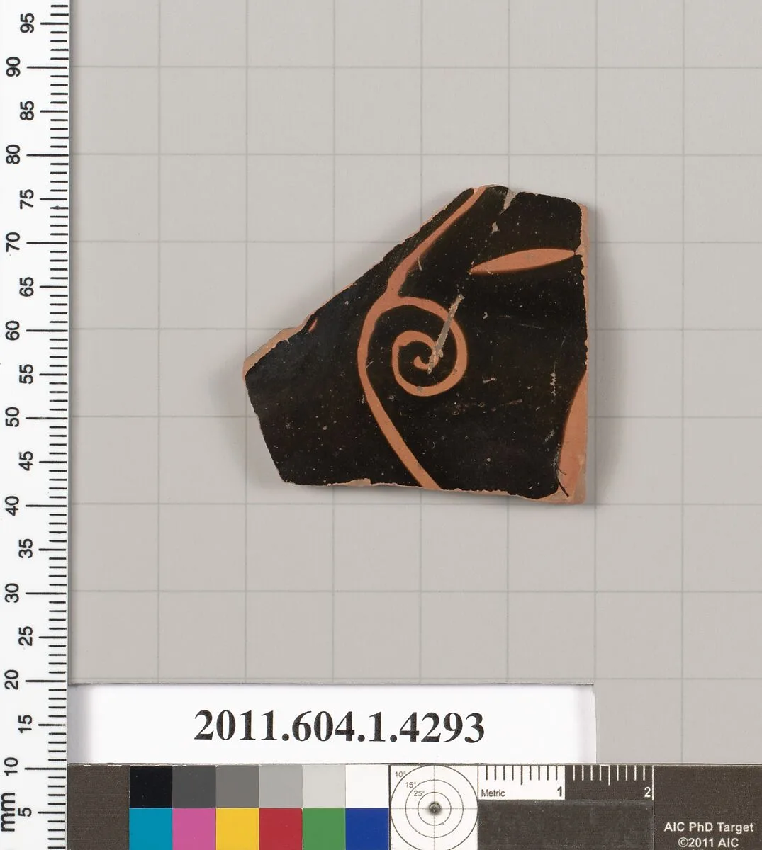 Terracotta fragment of a kylix (drinking cup) — Unknown