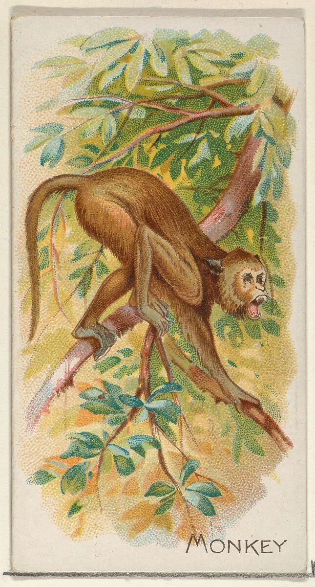 Monkey, from the Quadrupeds series (N21) for Allen & Ginter Cigarettes — Allen & Ginter|Lindner, Eddy & Claus