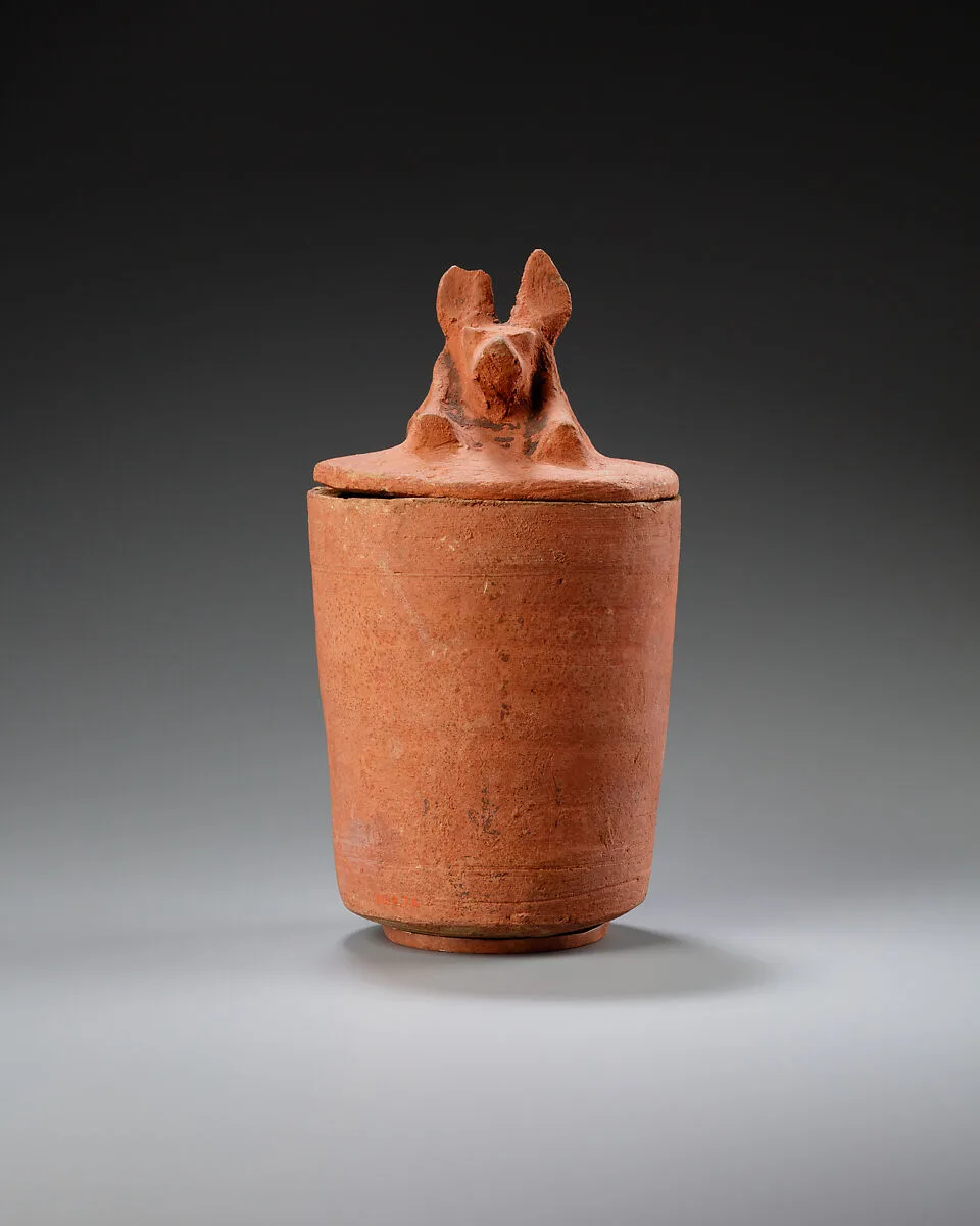 Canopic jar with jackal head — Unknown