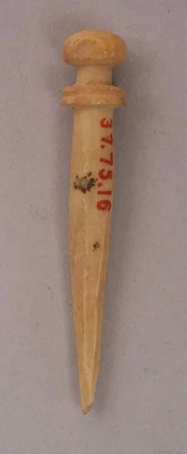 Pin or Stylus